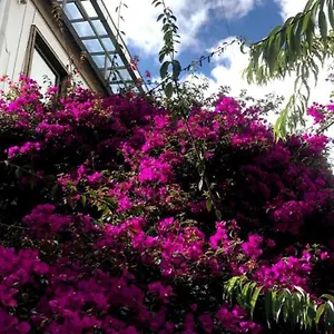 https://anastasio-gutman-house.hotels-bogota.net